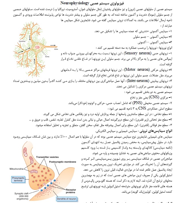 دانلود کامل ترین جزوه فیزیولوژی اعصاب (خلاصه ای کامل از فیژیولوژی گایتون) دانشگاه تهران